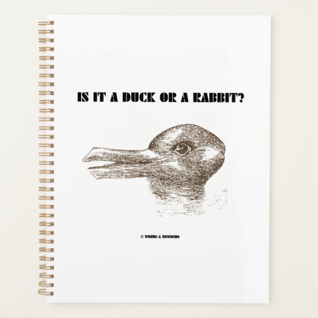 Est-Ce Un Canard Ou Un Lapin ? Illusion optique (Devant)