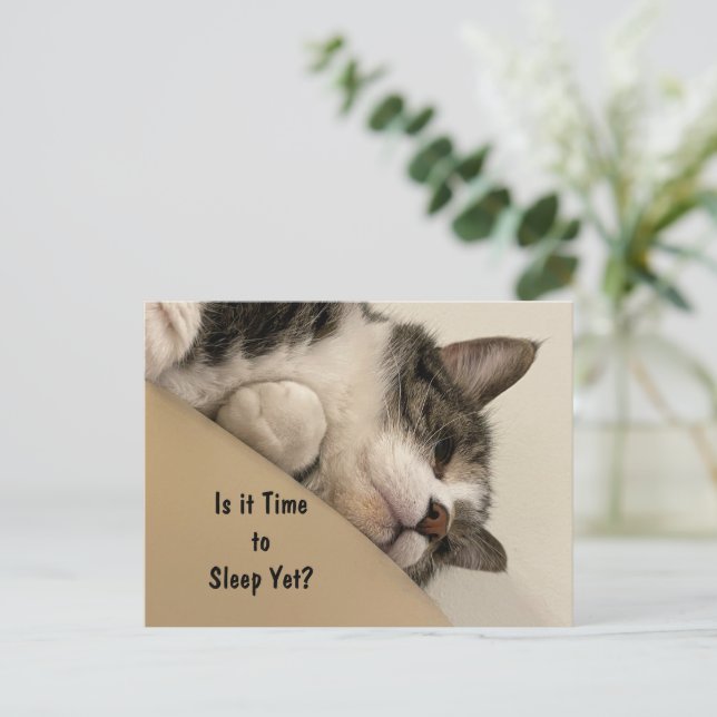 Est-il temps de carte postale de sommeil (Debout devant)