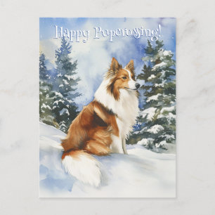 Étagère 1 - Carte postale