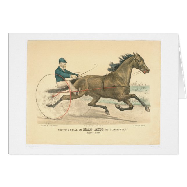 Étalon Palo Alto de trot par Electioneer (1791A) (Devant horizontal)