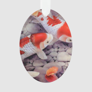 Étang à poissons rouge et blanc de Koi