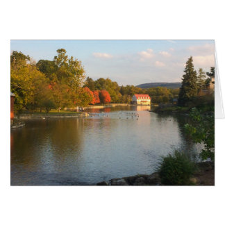 Étang de canard avec le moulin dans la chute