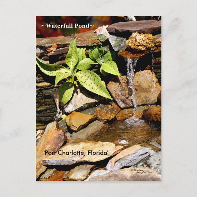 Etang de cascade Port Charlotte FL Carte postale (Devant)
