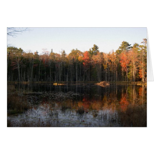 étang de castor du New Hampshire à l'automne (Devant horizontal)