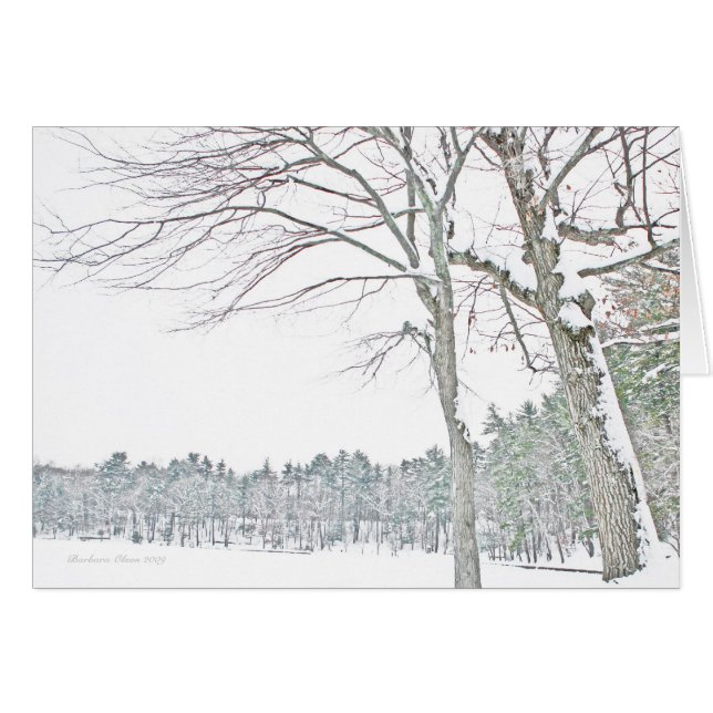 Étang de Walden : Dans le zen (Devant horizontal)