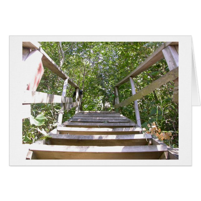 Étapes de la maison verte (Devant horizontal)