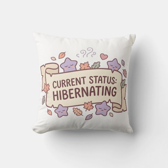 État actuel Hibernation Coussin Cozy (Recto)