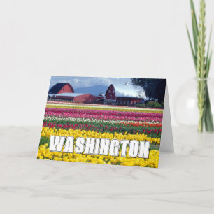 État de Washington Champ de tulipes Merci