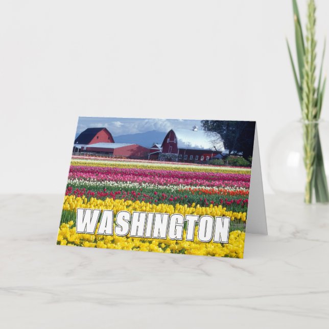 État de Washington | Champ de tulipes | Merci (Devant)