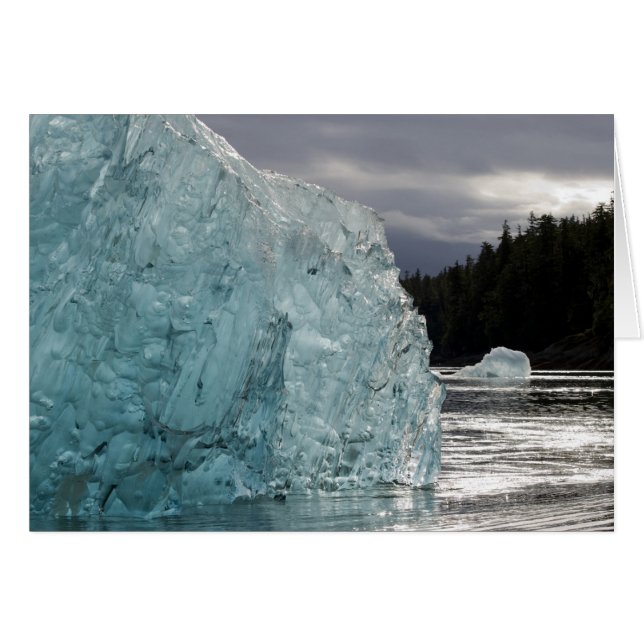 États-Unis, Alaska, Forêt nationale de Tongass, Tr (Devant horizontal)