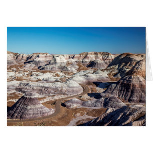 États-Unis, Arizona, Parc national de la forêt pét