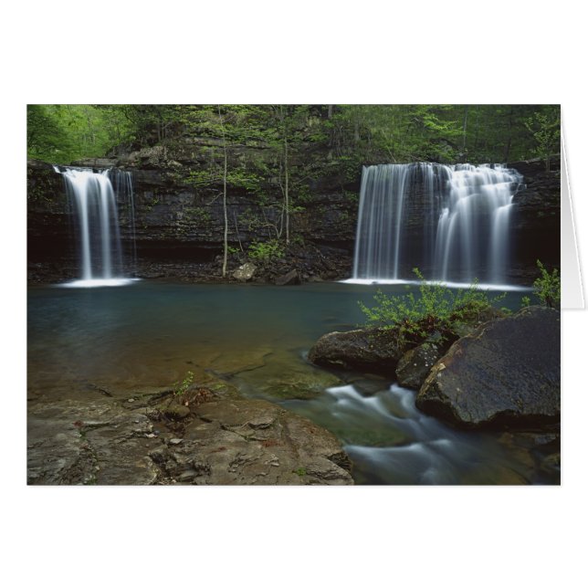 États-Unis, Arkansas, Ozark- St Francis National (Devant horizontal)