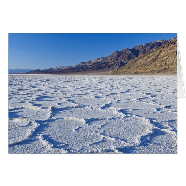 États-Unis, CA, Parc national de la vallée de la M (Devant horizontal)