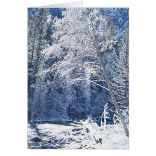 États-Unis, Californie, Parc national de Yosemite,