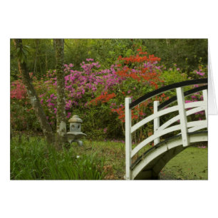 États-Unis; Caroline du Sud; Charleston;5