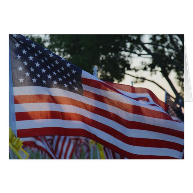 États-Unis d'Amérique commémoration de jour drapea (Devant horizontal)