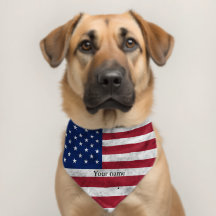 États-Unis drapeau Amérique vintage patriotique No
