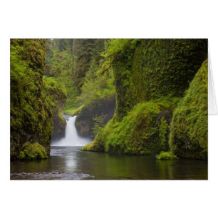 États-Unis, Eagle Creek, Columbia Gorge, Oregon. 3