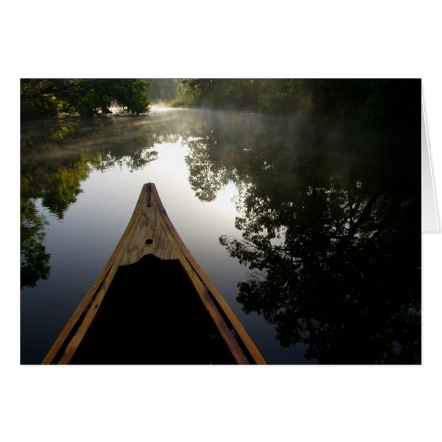 États-Unis, Floride, Forêt nationale d'Ocala, Alex (Devant horizontal)