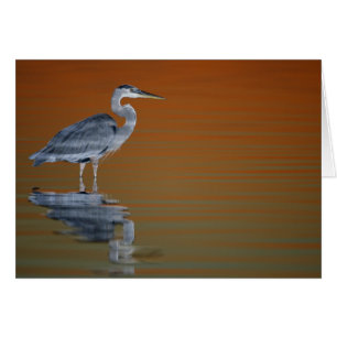 États-Unis, Floride, Saint-Pétersbourg, Fort De So