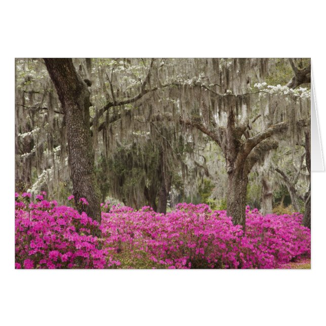 États-Unis, Géorgie, Savannah, Printemps à l'histo (Devant horizontal)