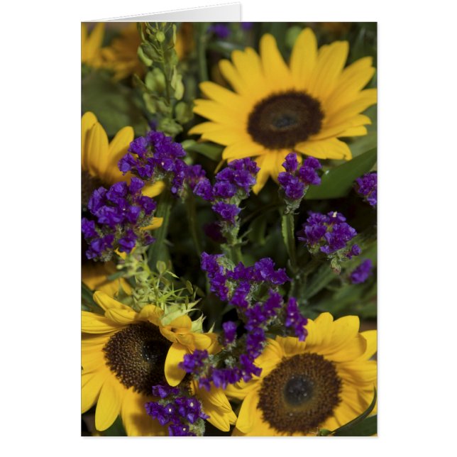 États-Unis, gros plan de la composition florale de (Devant)