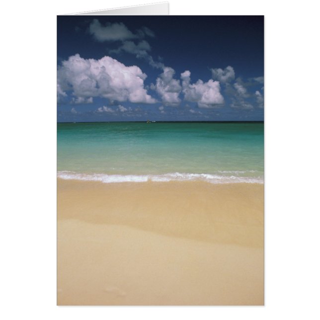 États-Unis, Hawaï. Scène de plage (Devant)
