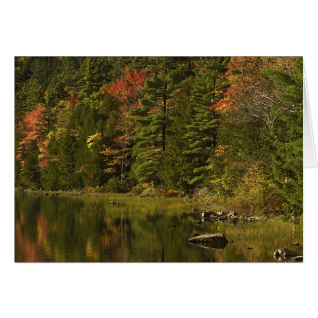 États-Unis; Maine; Parc national d'Acadia. Réflexi (Devant horizontal)