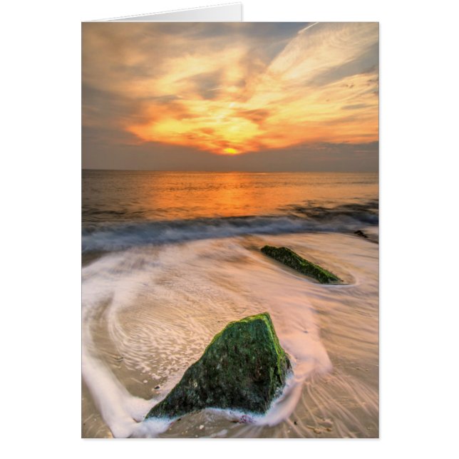 États-Unis, New Jersey, Cape May. Scenic On Cape M (Devant)