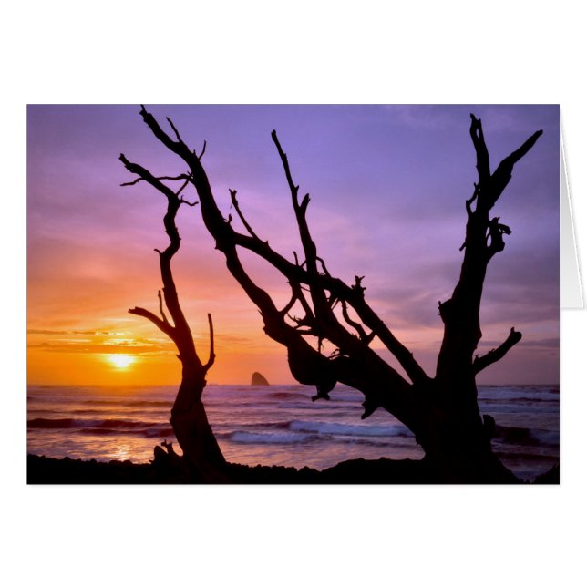 États-Unis, Oregon, Cape Meares. Coucher de soleil (Devant horizontal)