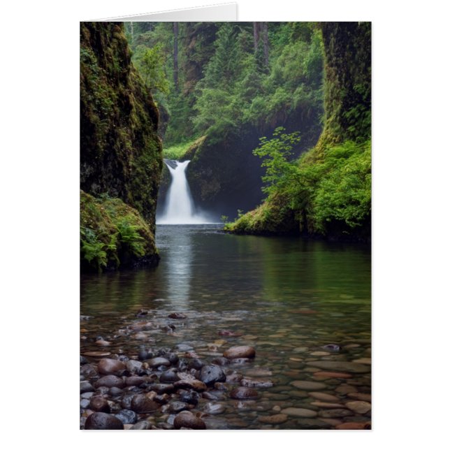 États-Unis, Oregon, Columbia River Gorge 5 (Devant)