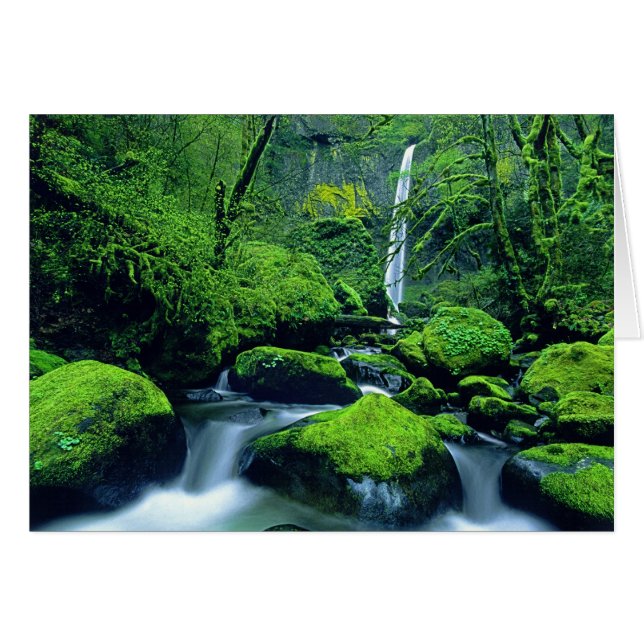 États-Unis, Oregon, Columbia River Gorge National  (Devant horizontal)