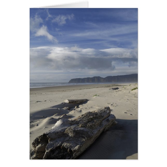 États-Unis, Oregon, Dunes de sable et Océan, Pacif (Devant)