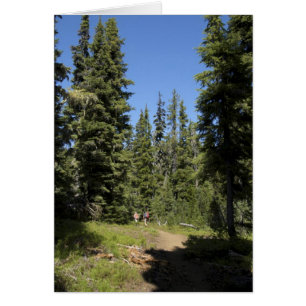 États-Unis, Oregon, Forêt nationale de Willamette,