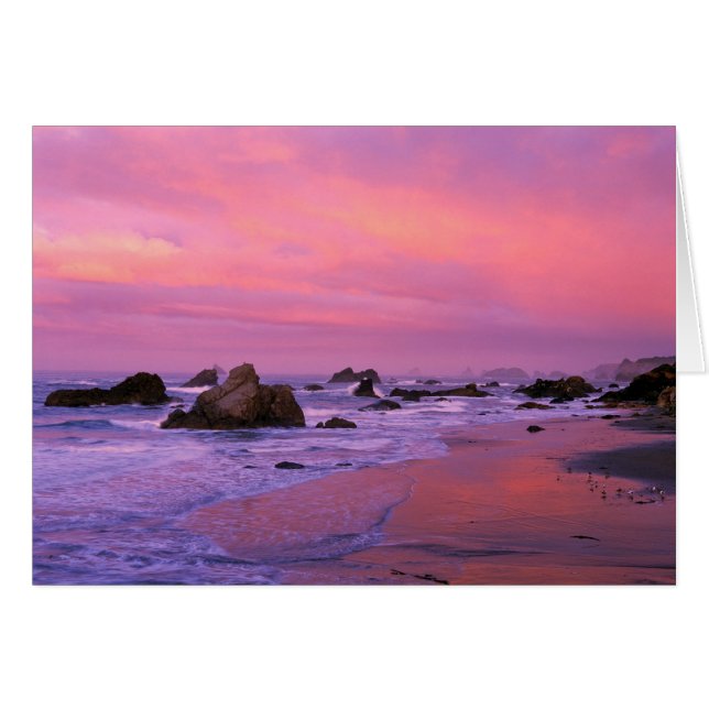 États-Unis, Oregon, Harris State Beach, Brookings. (Devant horizontal)