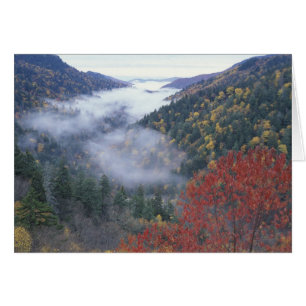 États-Unis, Tennessee, Great Smokey Mountains Nati