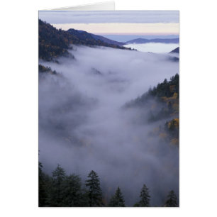 États-Unis, Tennessee. Parc national des Great Smo