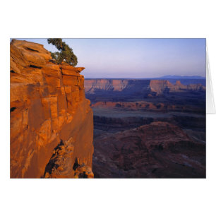 États-Unis, Utah, Dead Horse Point SP. Lumière tar