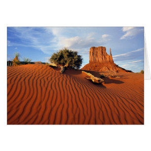 États-Unis, Utah, Monument Valley. Le vent crée