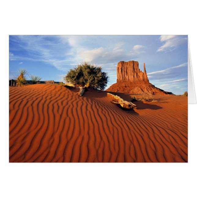 États-Unis, Utah, Monument Valley. Le vent crée (Devant horizontal)