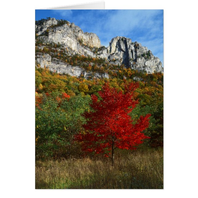 États-Unis, Virginie-Occidentale, Spruce Knob-Sene (Devant)
