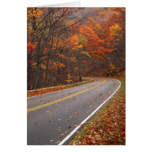 États-Unis, Virginie, Parc national de Shenandoah, (Devant)