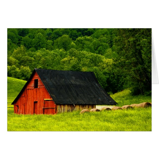 États-Unis, Virginie, Parc national de Shenandoah, (Devant horizontal)