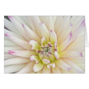 États-Unis, Washington, Bellevue, Bellevue Botaniq