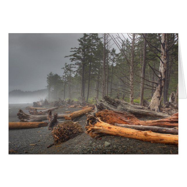 États-Unis, Washington, Parc national Olympique, R (Devant horizontal)