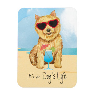 Été Norwich Terrier Magnet