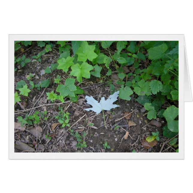 Éteins (Devant horizontal)