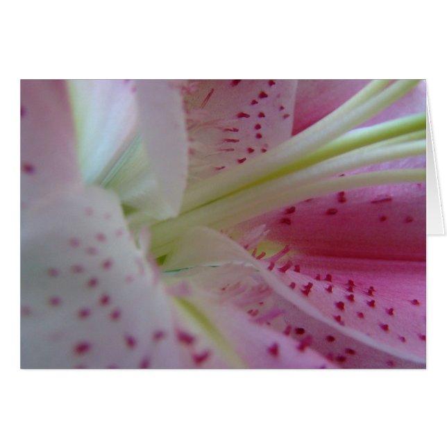 Étendre (Devant horizontal)