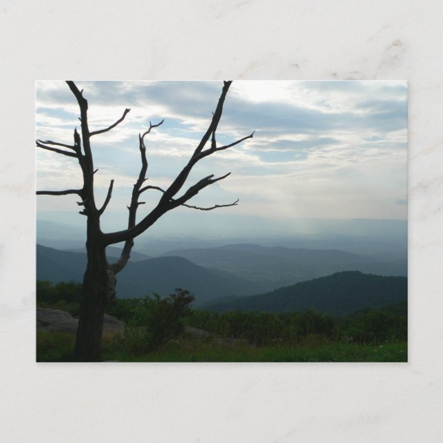 Étendre la carte postale (Devant)