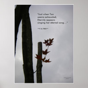 Eternal Song of Life: Nature Zen/Tao Poster